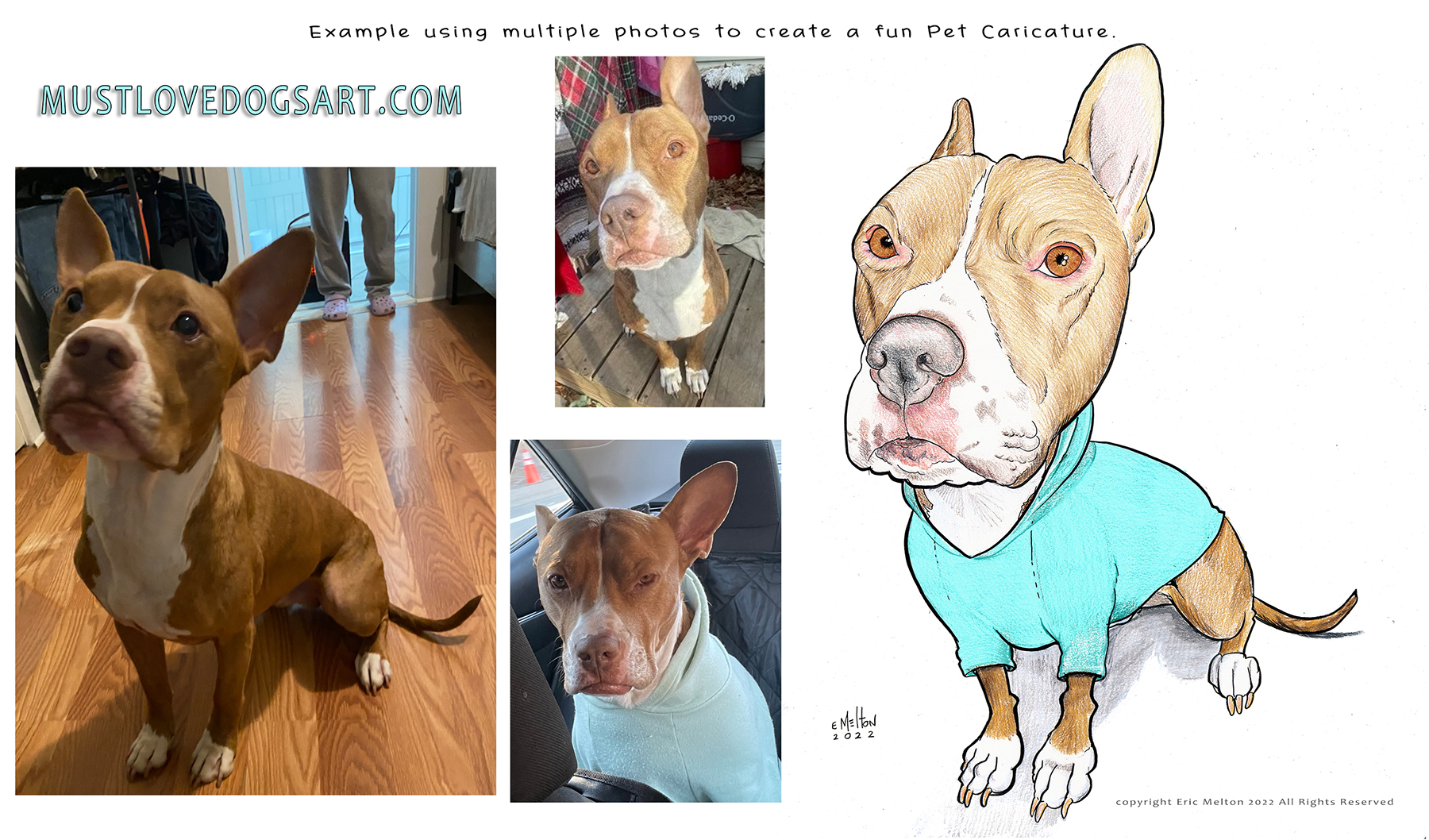 pet caricature cartoon